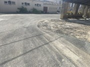 IMG_8444.jpeg
